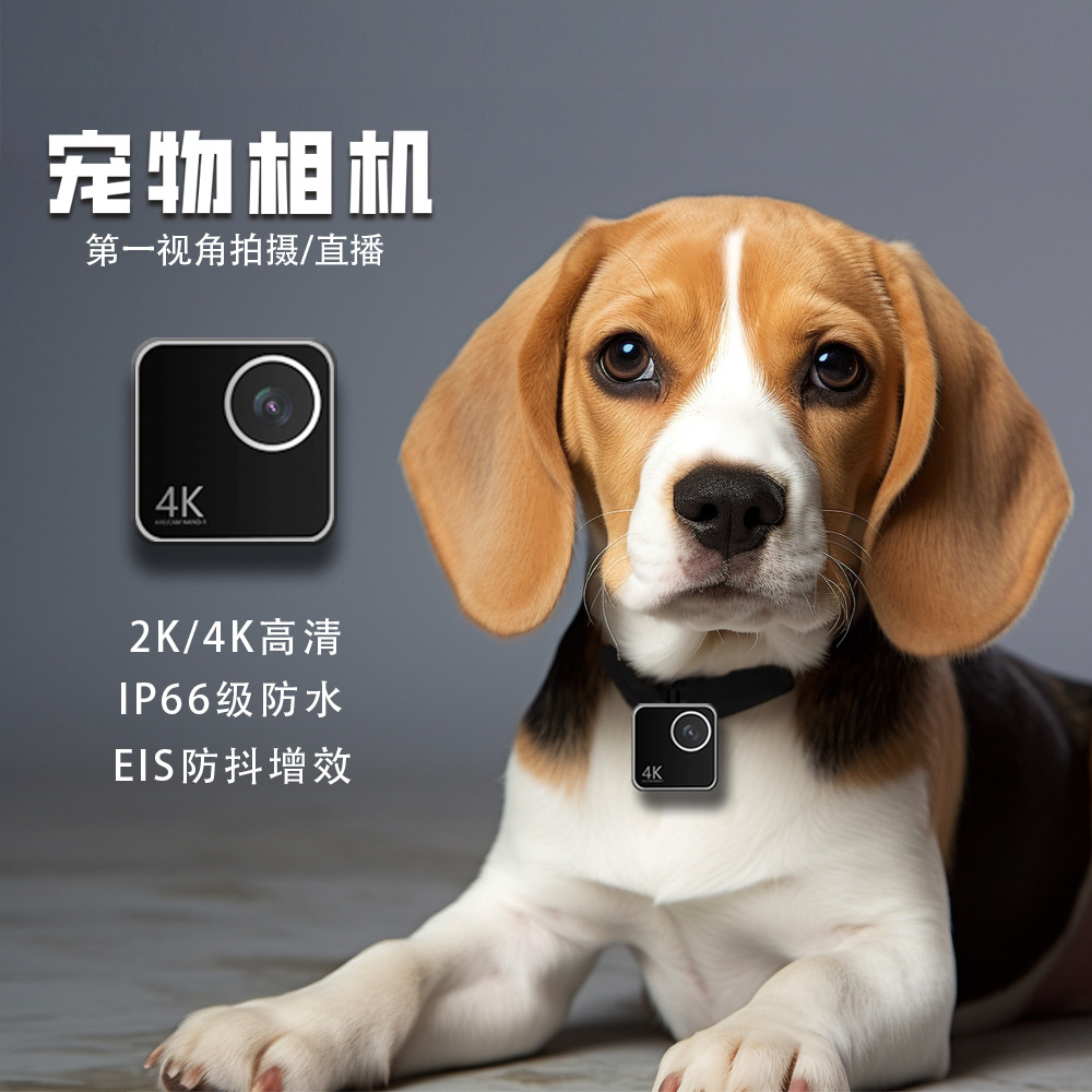 Hayvan kedi köpek evcil hayvan - Cameras incelemesi ve fiyatı