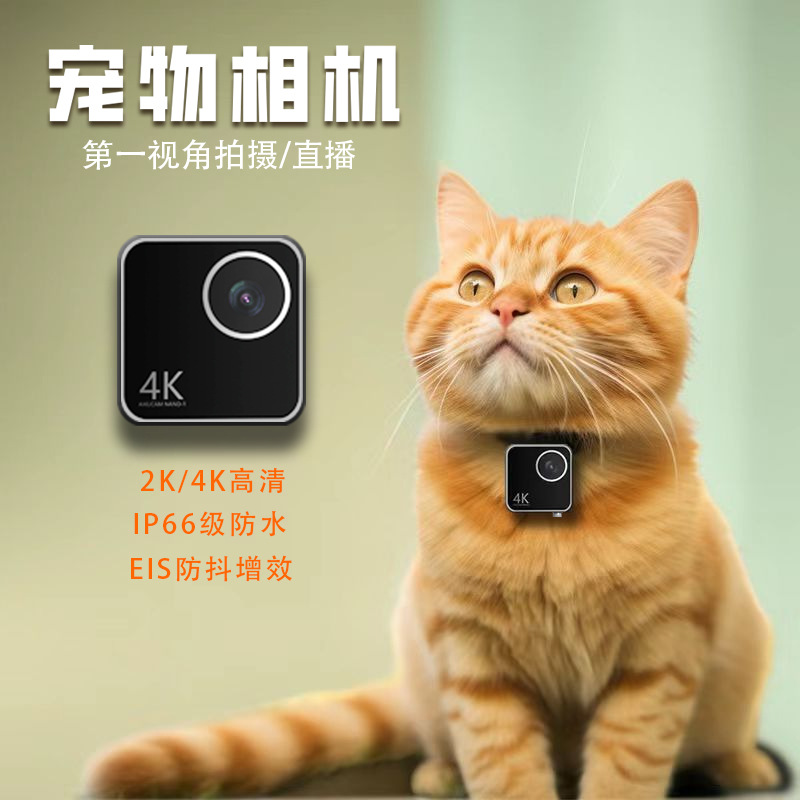 Hayvan kedi köpek evcil hayvan - Cameras incelemesi ve fiyatı