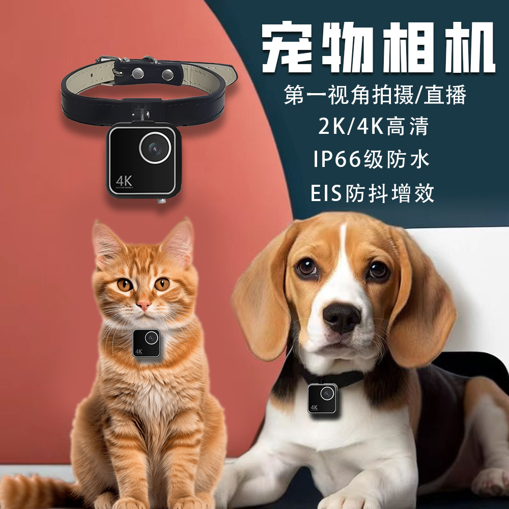 Hayvan kedi köpek evcil hayvan - Cameras incelemesi ve fiyatı
