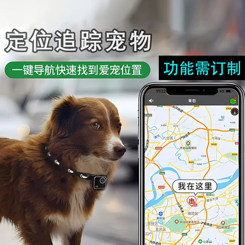 Hayvan kedi köpek evcil hayvan - Cameras incelemesi ve fiyatı